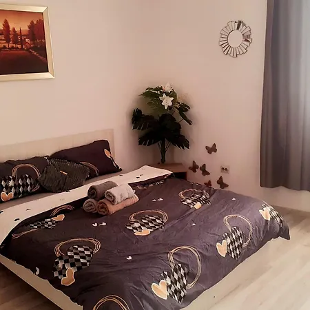 Citycore - Choice&price Timisoara